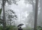 Best Monsoon Destinations: Let the rain begin & smell the soil